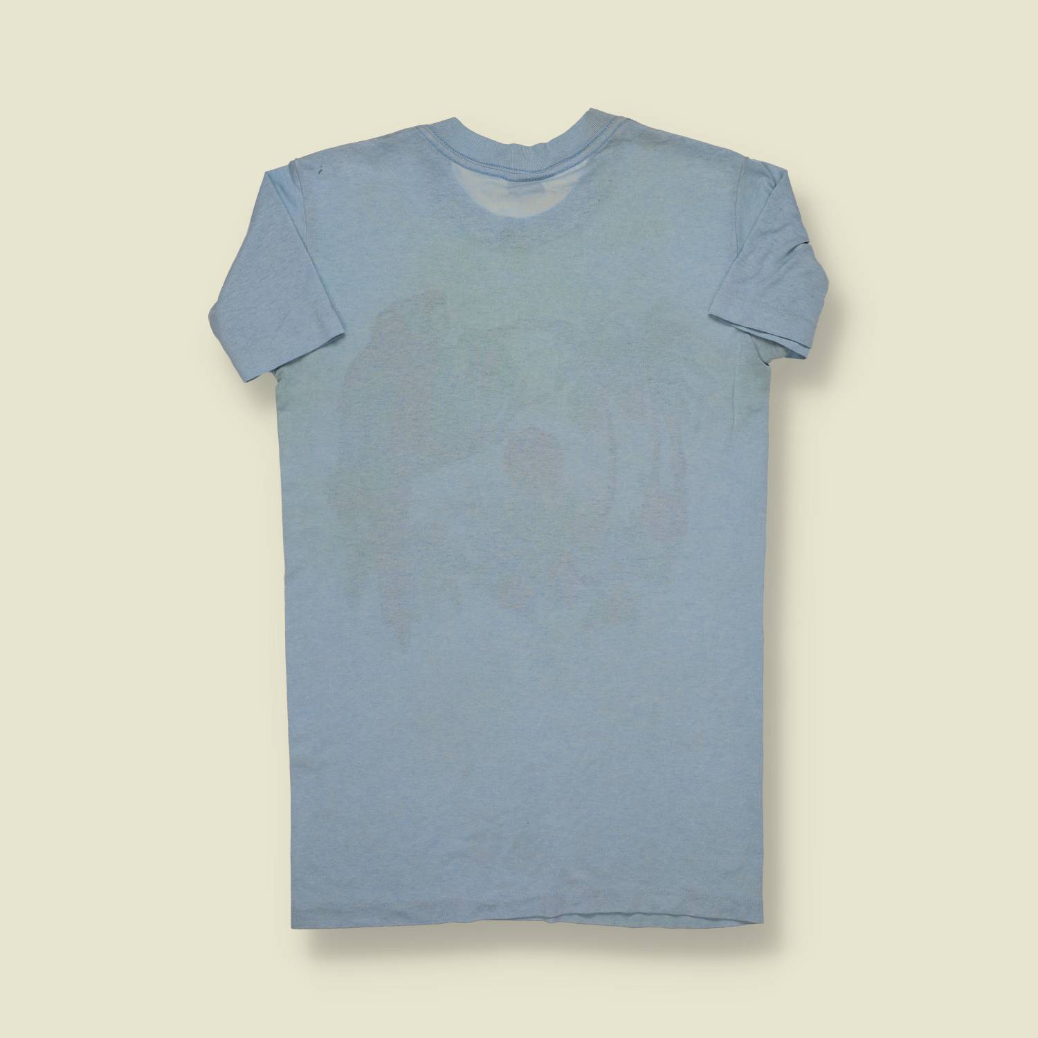 1970s | The 50s | Tropical Parrot Graphic Tee – Sky Blue - XS